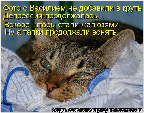 Фото с Василием не добавили в круть Депрессия продолжалась... Вскоре шторы стали жалюзями Ну а тапки ... Котоматрица: Фото с Василием не добавили в круть Депрессия продолжалась... Вскоре шторы стали жалюзями Ну а тапки продолжали вонять...
