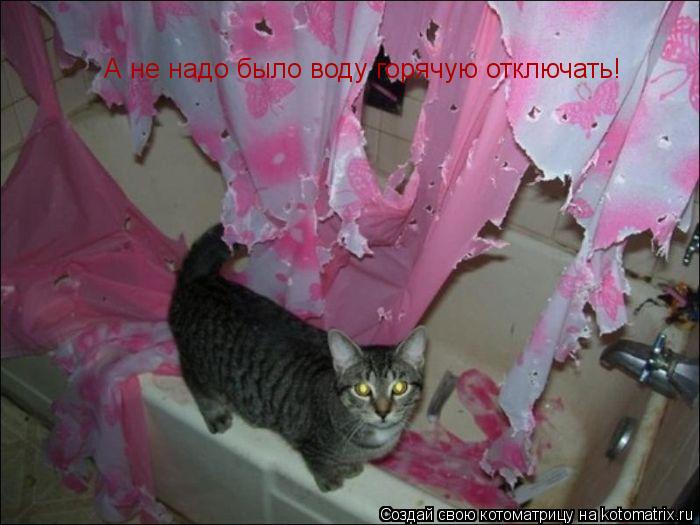 Котоматрица: А не надо было воду горячую отключать!