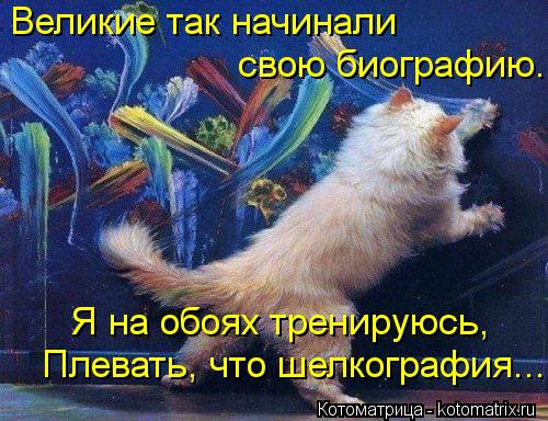 Великие так начинали свою биографию. Я на обоях тренируюсь, Плевать, что шелкография...... Котоматрица: Великие так начинали свою биографию. Я на обоях тренируюсь, Плевать, что шелкография...