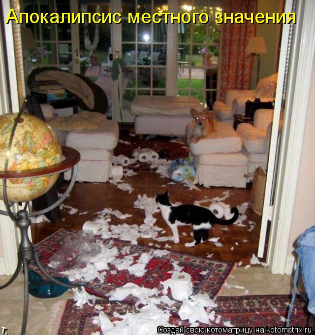 Апокалипсис местного значения... Котоматрица: Апокалипсис местного значения