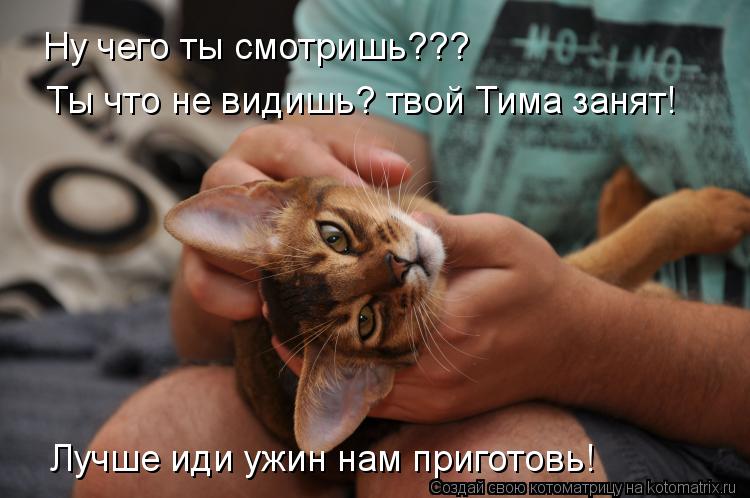 Ну чего ты смотришь??? Ты что не видишь? твой Тима занят! Лучше иди ужин нам приготовь!... Котоматрица: Ну чего ты смотришь??? Ты что не видишь? твой Тима занят! Лучше иди ужин нам приготовь!