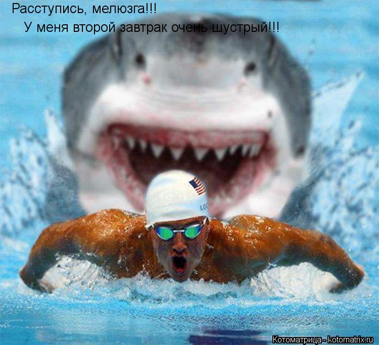 Котоматрица: Расступись, мелюзга!!! У меня второй завтрак очень шустрый!!!