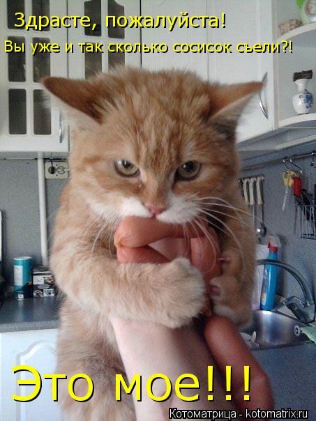 Котоматрица: Здрасте, пожалуйста! Вы уже и так сколько сосисок съели?! Это мое!!!