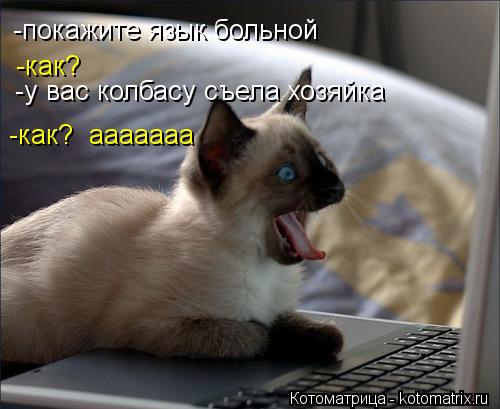 Котоматрица: -покажите язык больной -как? -у вас колбасу съела хозяйка -как?  ааааааа