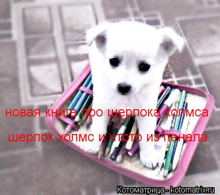 Котоматрица: новая книга про шерлока холмса шерлок холмс и чтото из пенала