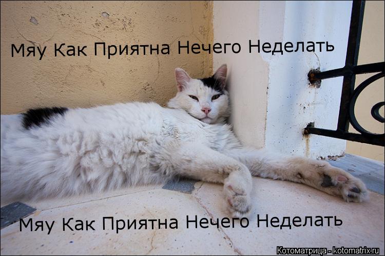 Мяу Как Приятна Нечего Неделать Мяу Как Приятна Нечего Неделать... Котоматрица: Мяу Как Приятна Нечего Неделать Мяу Как Приятна Нечего Неделать
