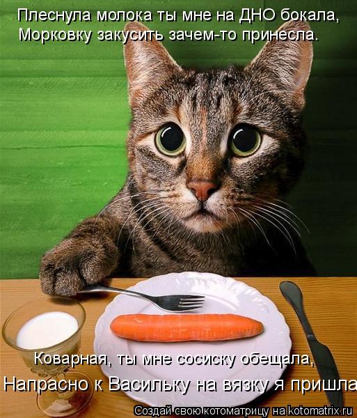 Котоматрица: Плеснула молока ты мне на ДНО бокала, Морковку закусить зачем-то принесла. Коварная, ты мне сосиску обещала, Напрасно к Васильку на вязку я п