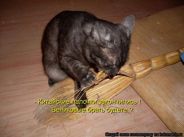 - Китайские палочки закончились ! Вениковые брать будете ?... Котоматрица: - Китайские палочки закончились ! Вениковые брать будете ?