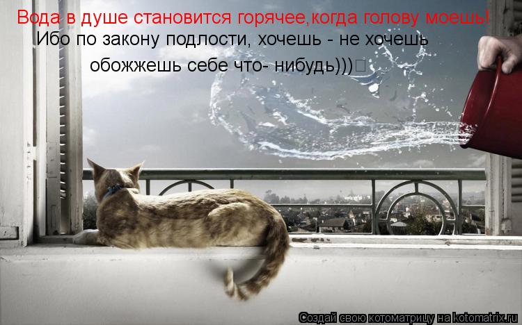 Котоматрица: Вода в душе становится горячее,когда голову моешь! Ибо по закону подлости, хочешь - не хочешь   обожжешь себе что- нибудь)))