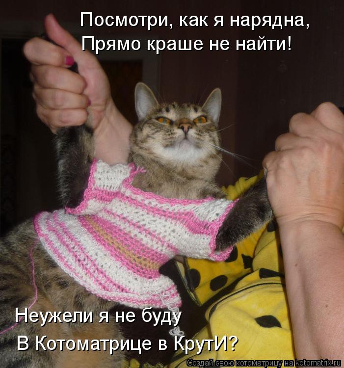 Неужели я не буду В Котоматрице в КрутИ? Посмотри, как я нарядна, Прямо краше не найти!... Котоматрица: Неужели я не буду В Котоматрице в КрутИ? Посмотри, как я нарядна, Прямо краше не найти!