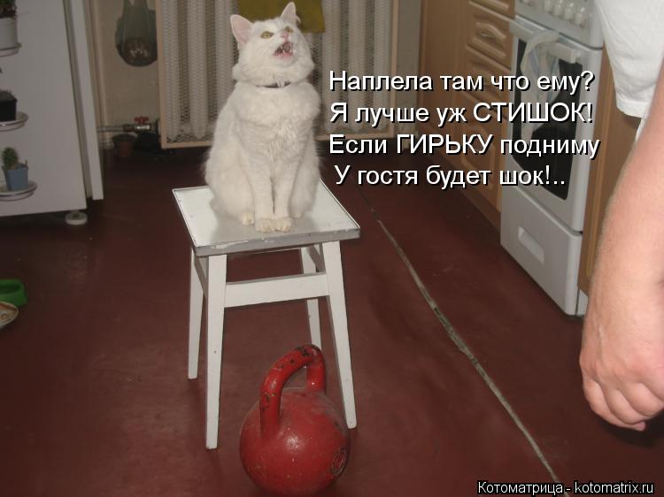 Котоматрица: Наплела там что ему? Я лучше уж СТИШОК! Если ГИРЬКУ подниму У гостя будет шок!..