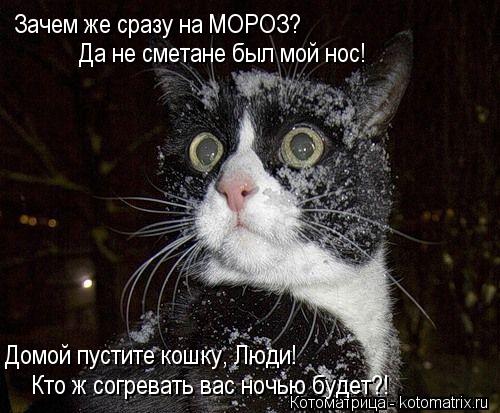 Зачем же сразу на МОРОЗ? Да не сметане был мой нос! Домой пустите кошку, Люди! Кто ж согревать вас но... Котоматрица: Зачем же сразу на МОРОЗ? Да не сметане был мой нос! Домой пустите кошку, Люди! Кто ж согревать вас ночью будет?!