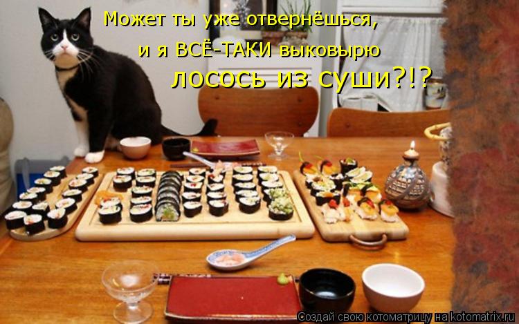 Котоматрица: Может ты уже отвернёшься, и я ВСЁ-ТАКИ выковырю лосось из суши?!?