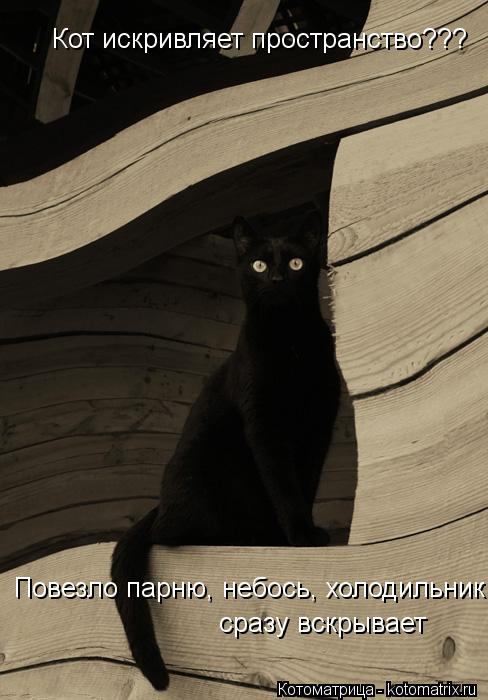 Котоматрица: Кот искривляет пространство??? Повезло парню, небось, холодильник  сразу вскрывает