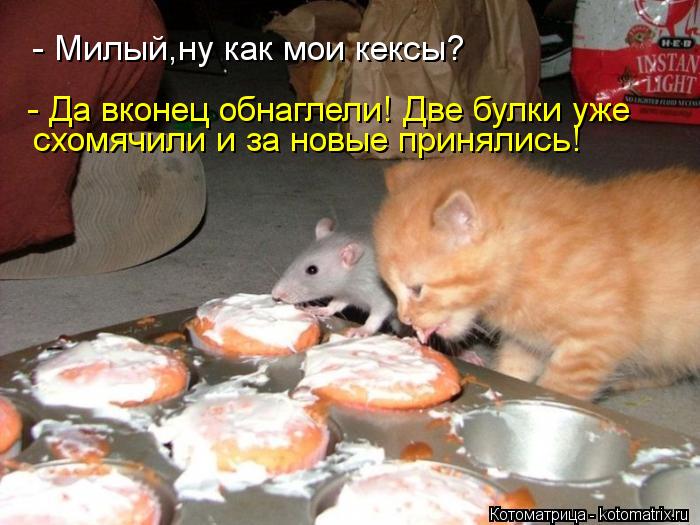 - Милый,ну как мои кексы? - Да вконец обнаглели! Две булки уже схомячили и за новые принялись!... Котоматрица: - Милый,ну как мои кексы? - Да вконец обнаглели! Две булки уже схомячили и за новые принялись!