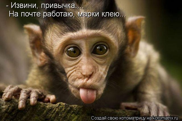 - Извини, привычка.... На почте работаю, марки клею...... Котоматрица: - Извини, привычка.... На почте работаю, марки клею...