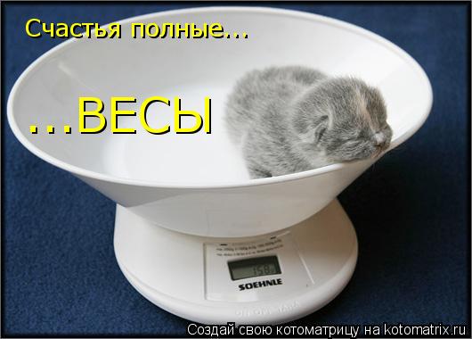 Котоматрица: Счастья полные... ...ВЕСЫ