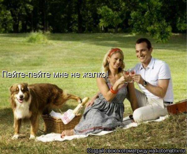 Пейте-пейте мне не жалко!... Котоматрица: Пейте-пейте мне не жалко!