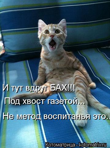 Котоматрица: И тут вдруг БАХ!!! Под хвост газетой... Не метод воспитанья это...
