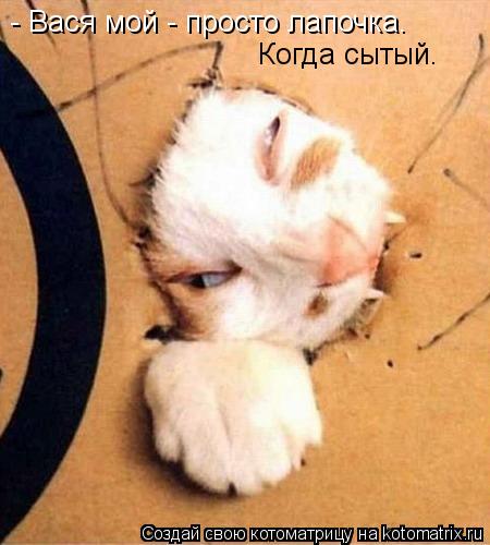 - Вася мой - просто лапочка. Когда сытый.... Котоматрица: - Вася мой - просто лапочка. Когда сытый.