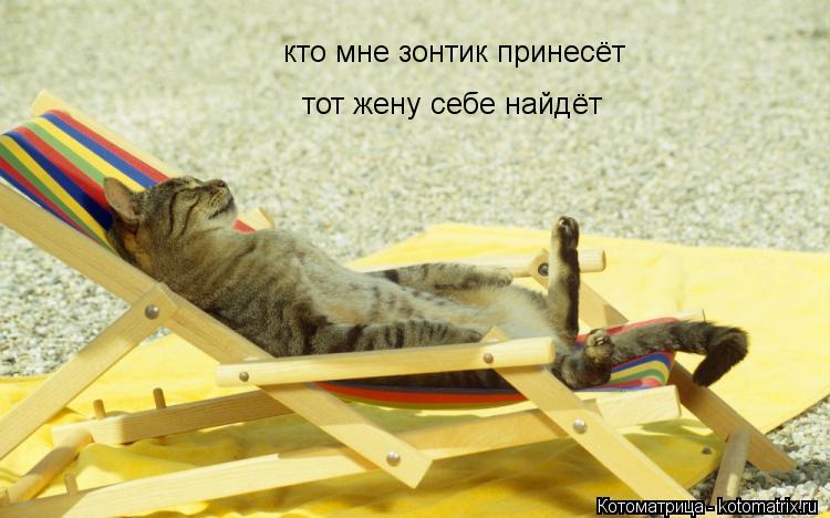кто мне зонтик принесёт тот жену себе найдёт... Котоматрица: кто мне зонтик принесёт тот жену себе найдёт