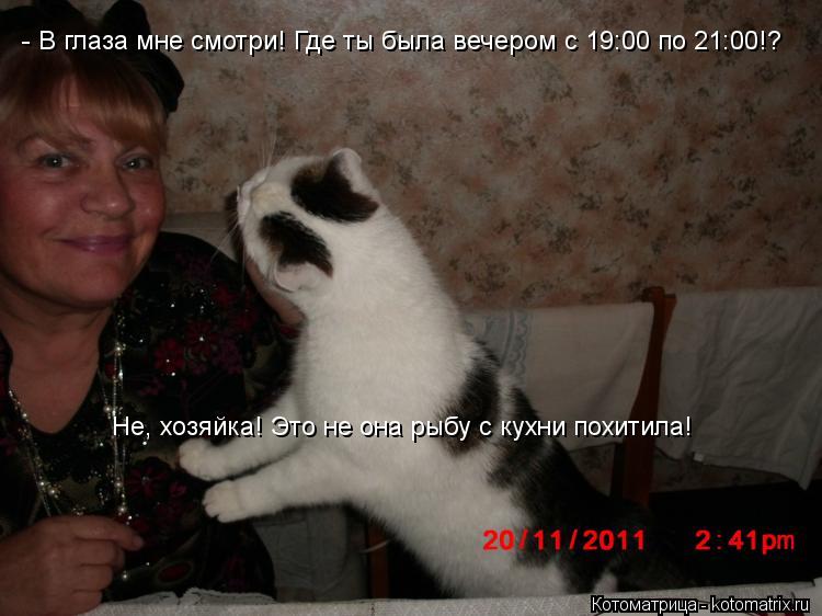 Котоматрица: - В глаза мне смотри! Где ты была вечером с 19:00 по 21:00!? Не, хозяйка! Это не она рыбу с кухни похитила!