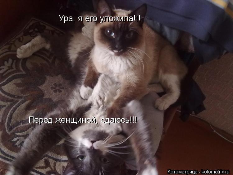 Ура, я его уложила!!! Перед женщиной, сдаюсь!!!... Котоматрица: Ура, я его уложила!!! Перед женщиной, сдаюсь!!!