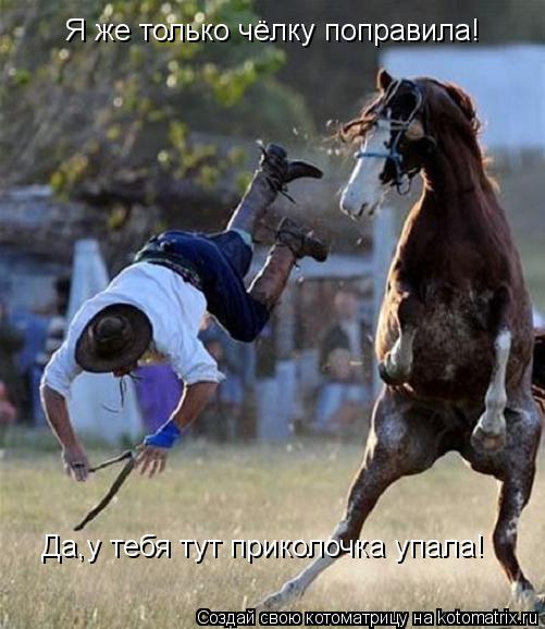 Котоматрица: Я же только чёлку поправила! Да,у тебя тут приколочка упала!