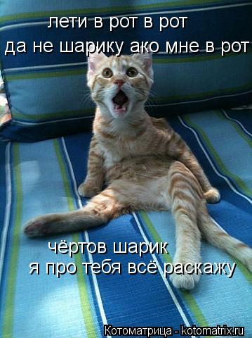 Котоматрица: лети в рот в рот лети в рот в рот да не шарику ако мне в рот чёртов шарик я про тебя всё раскажу