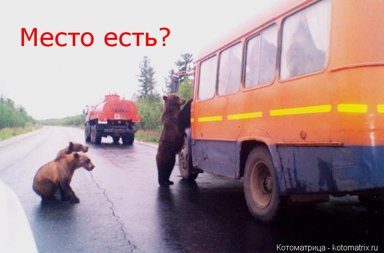 Место есть?... Котоматрица: Место есть?