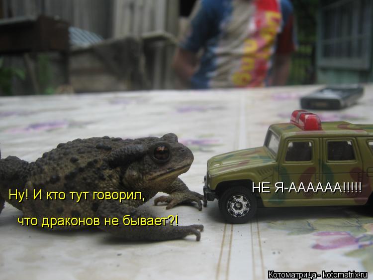 Котоматрица: Ну! И кто тут говорил, что драконов не бывает?! НЕ Я-АААААА!!!!!