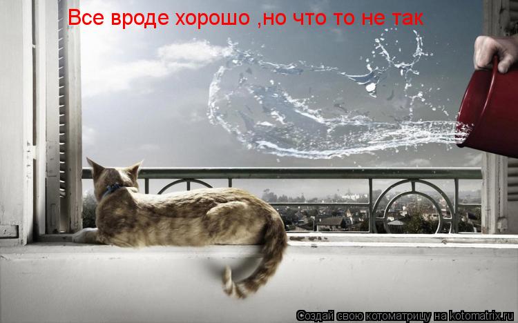 Все вроде хорошо ,но что то не так... Котоматрица: Все вроде хорошо ,но что то не так