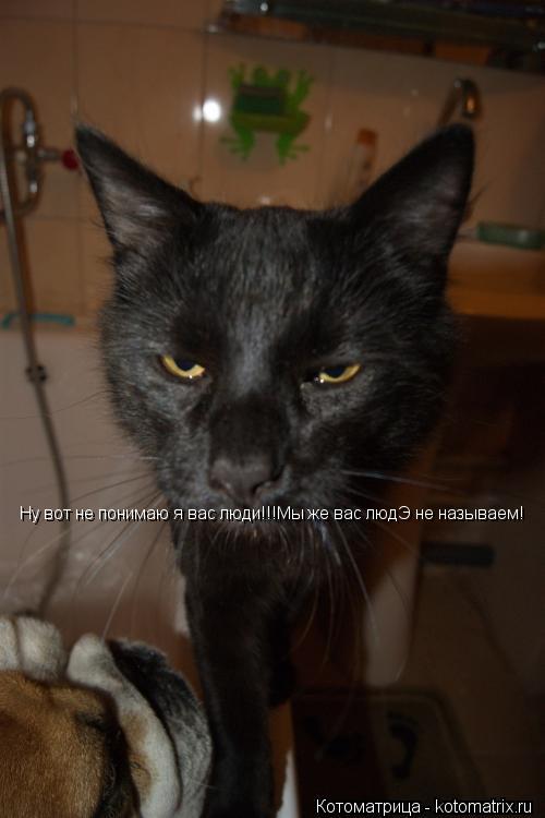 Котоматрица: Ну вот не понимаю я вас люди!!!Мы же вас людЭ не называем!