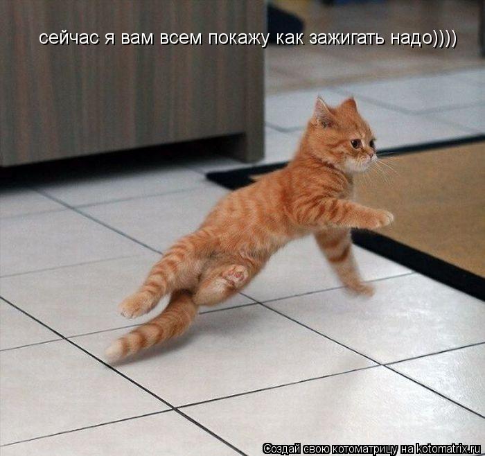 Котоматрица: сейчас я вам всем покажу как зажигать надо))))