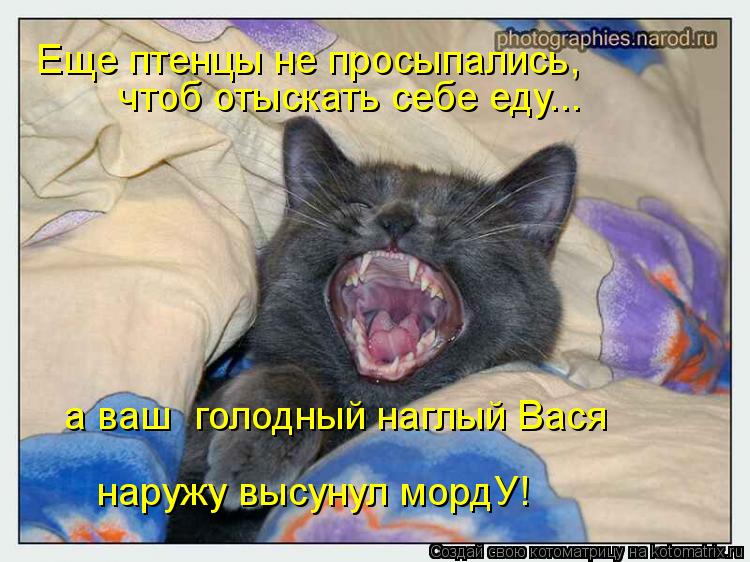 а ваш голодный наглый Вася наружу высунул мордУ! Еще птенцы не просыпались, чтоб отыскать себе еду.... Котоматрица: а ваш голодный наглый Вася наружу высунул мордУ! Еще птенцы не просыпались, чтоб отыскать себе еду...
