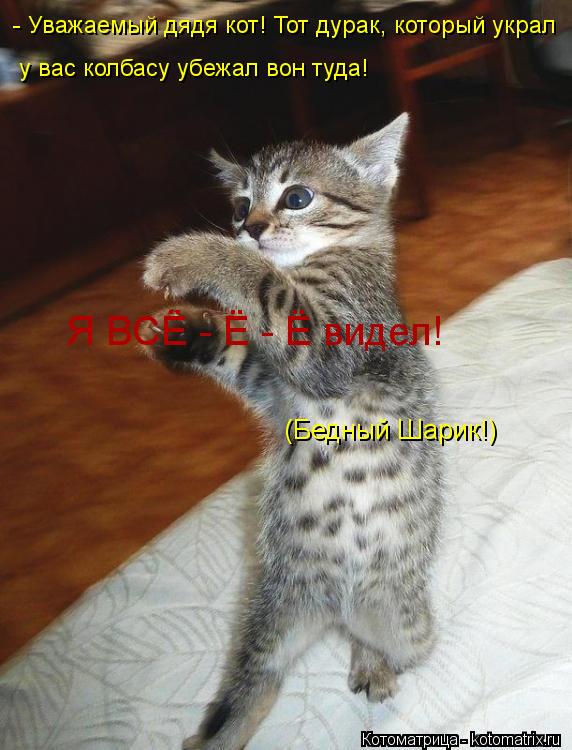 у вас колбасу убежал вон туда! - Уважаемый дядя кот! Тот дурак, который украл Я ВСЁ - Ё - Ё видел! (... Котоматрица: у вас колбасу убежал вон туда! - Уважаемый дядя кот! Тот дурак, который украл Я ВСЁ - Ё - Ё видел! (Бедный Шарик!)