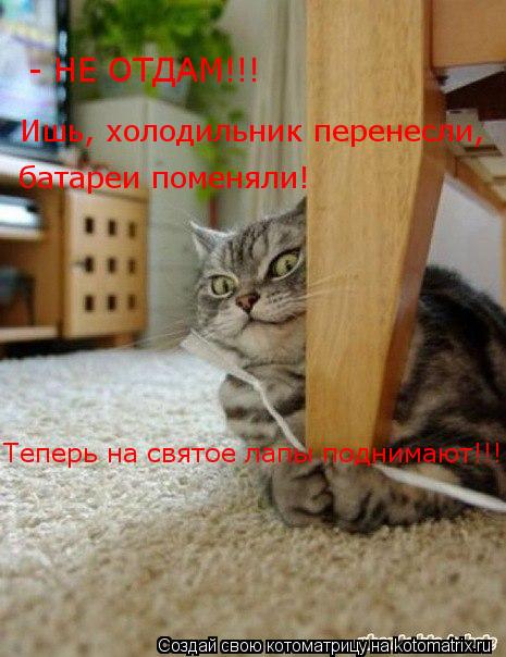 Котоматрица: - НЕ ОТДАМ!!! Ишь, холодильник перенесли, батареи поменяли! Теперь на святое лапы поднимают!!!