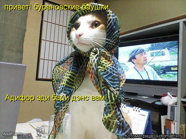Котоматрица: привет! бурановские баушки Адифор эди бади дэнс вам!