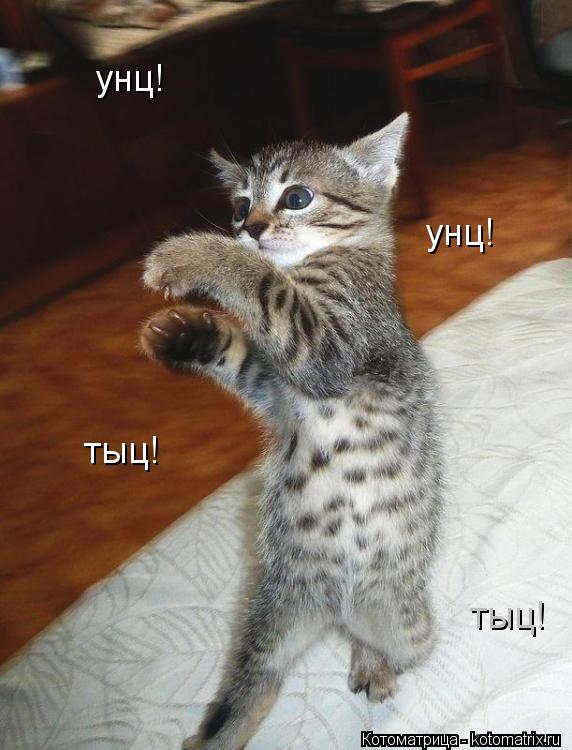 унц! унц! тыц! тыц!... Котоматрица: унц! унц! тыц! тыц!