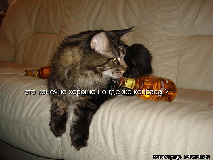 Котоматрица: это конечно хорошо но где же колбаса ?