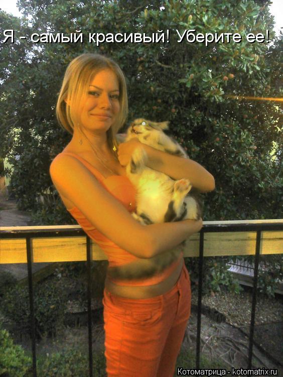 Я - самый красивый! Уберите ее!... Котоматрица: Я - самый красивый! Уберите ее!
