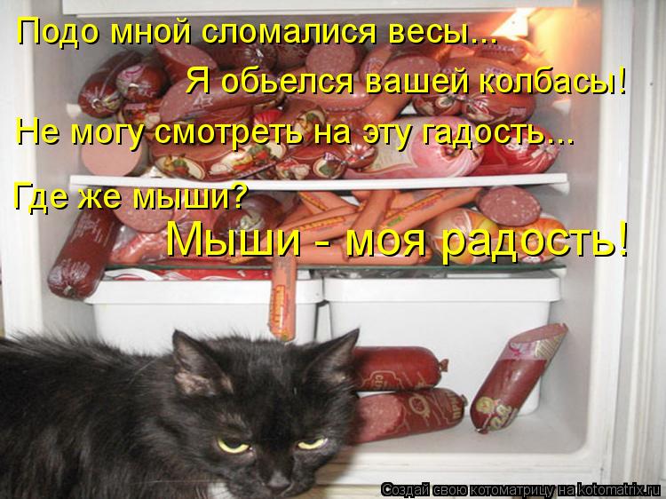 Котоматрица: Подо мной сломалися весы... Я обьелся вашей колбасы! Не могу смотреть на эту гадость... Где же мыши?  Мыши - моя радость!