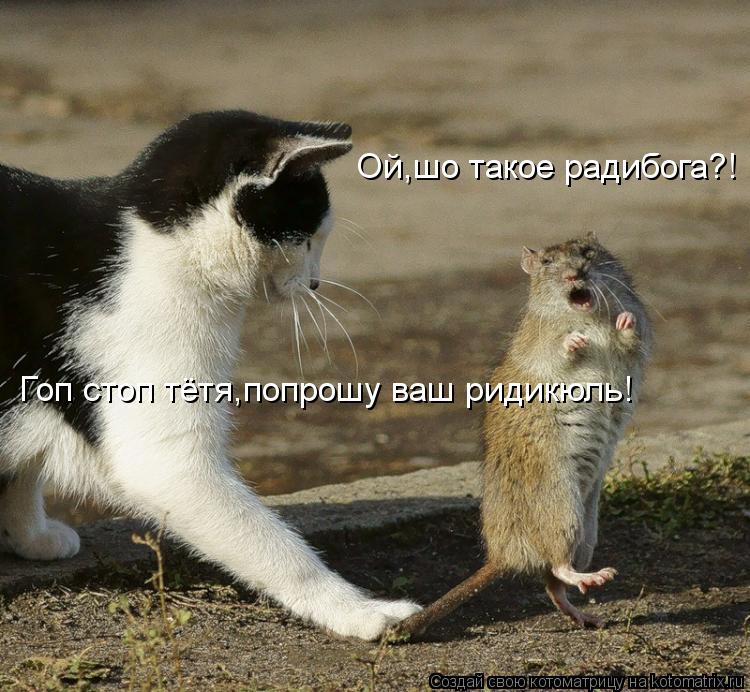 Ой,шо такое радибога?! Гоп стоп тётя,попрошу ваш ридикюль!... Котоматрица: Ой,шо такое радибога?! Гоп стоп тётя,попрошу ваш ридикюль!