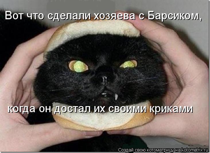 Вот что сделали хозяева с Барсиком, когда он достал их своими криками... Котоматрица: Вот что сделали хозяева с Барсиком, когда он достал их своими криками