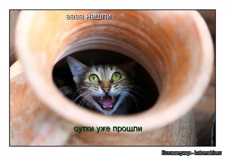 аааа нашли аааа нашли сутки уже прошли... Котоматрица: аааа нашли аааа нашли сутки уже прошли