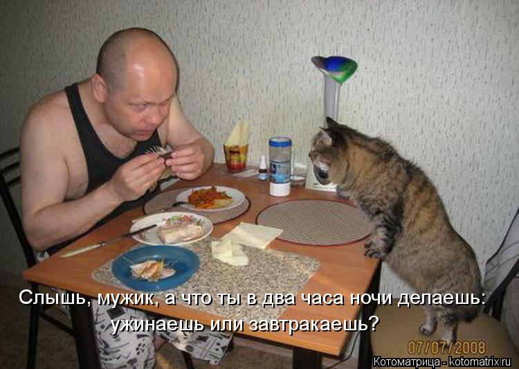 Котоматрица: Слышь, мужик, а что ты в два часа ночи делаешь: ужинаешь или завтракаешь?