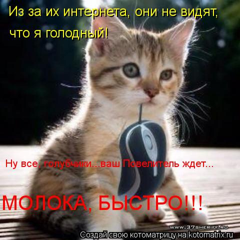 Котоматрица: Из за их интернета, они не видят, что я голодный! Ну все, голубчики...ваш Повелитель ждет... МОЛОКА, БЫСТРО!!!