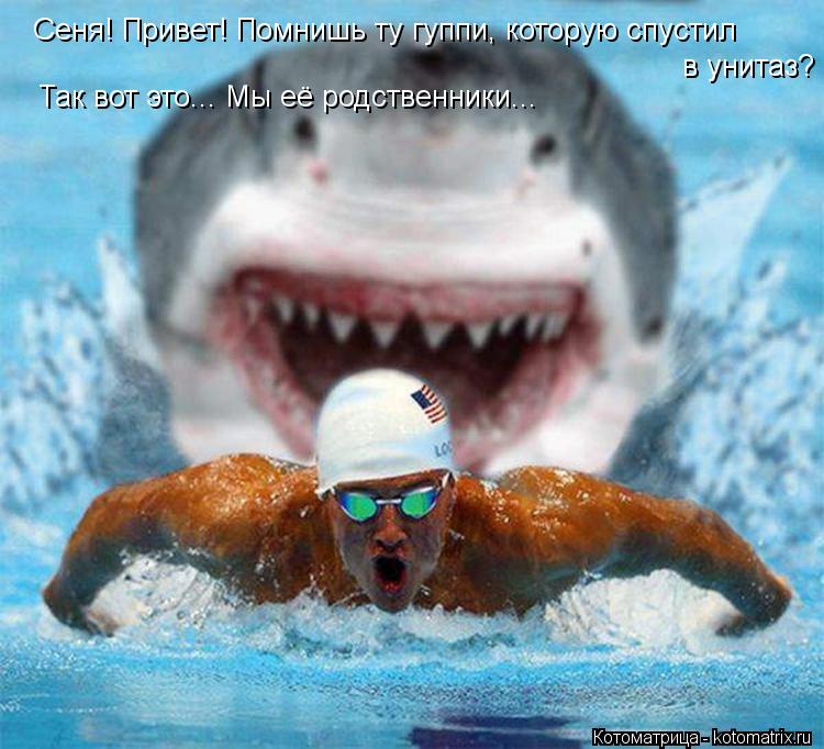 Сеня! Привет! Помнишь ту гуппи, которую спустил в унитаз? Так вот это... Мы её родственники...... Котоматрица: Сеня! Привет! Помнишь ту гуппи, которую спустил в унитаз? Так вот это... Мы её родственники...
