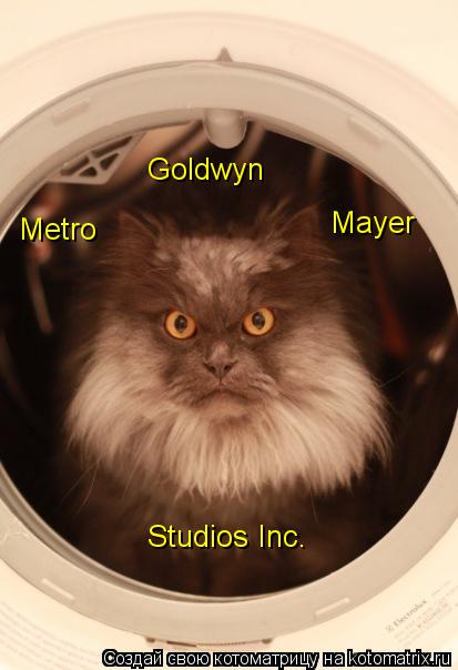 Metro Goldwyn Mayer Studios Inc.... Котоматрица: Metro Goldwyn Mayer Studios Inc.