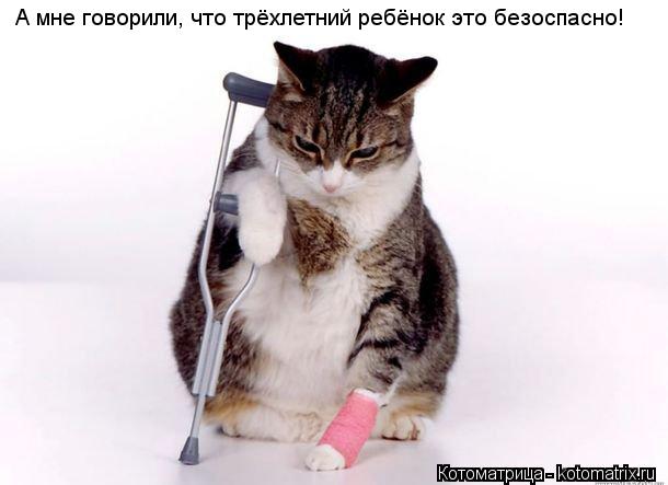 Котоматрица: А мне говорили, что трёхлетний ребёнок это безоспасно!